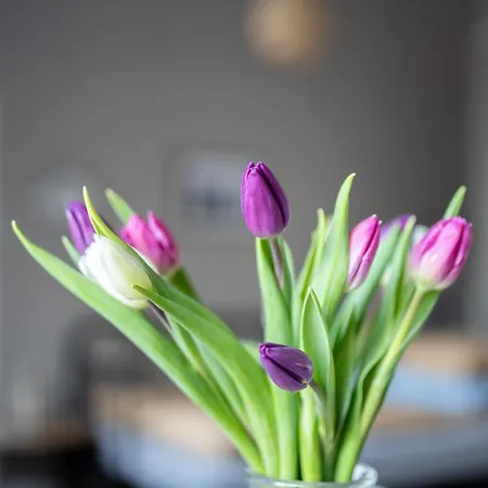 Apartamento Diana Park