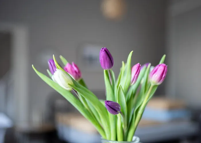 Apartamento Diana Park